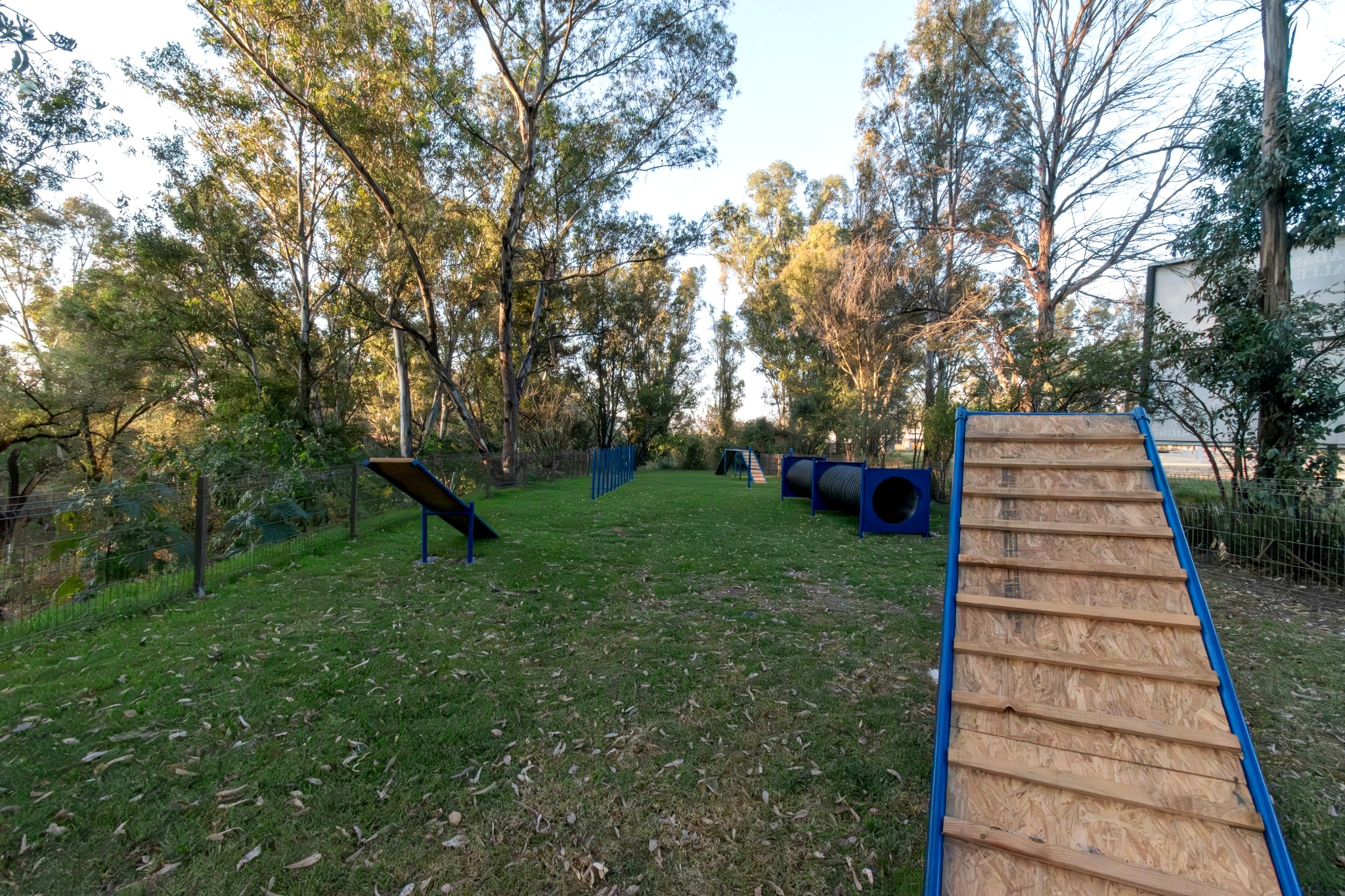 Dog park en naturaleza