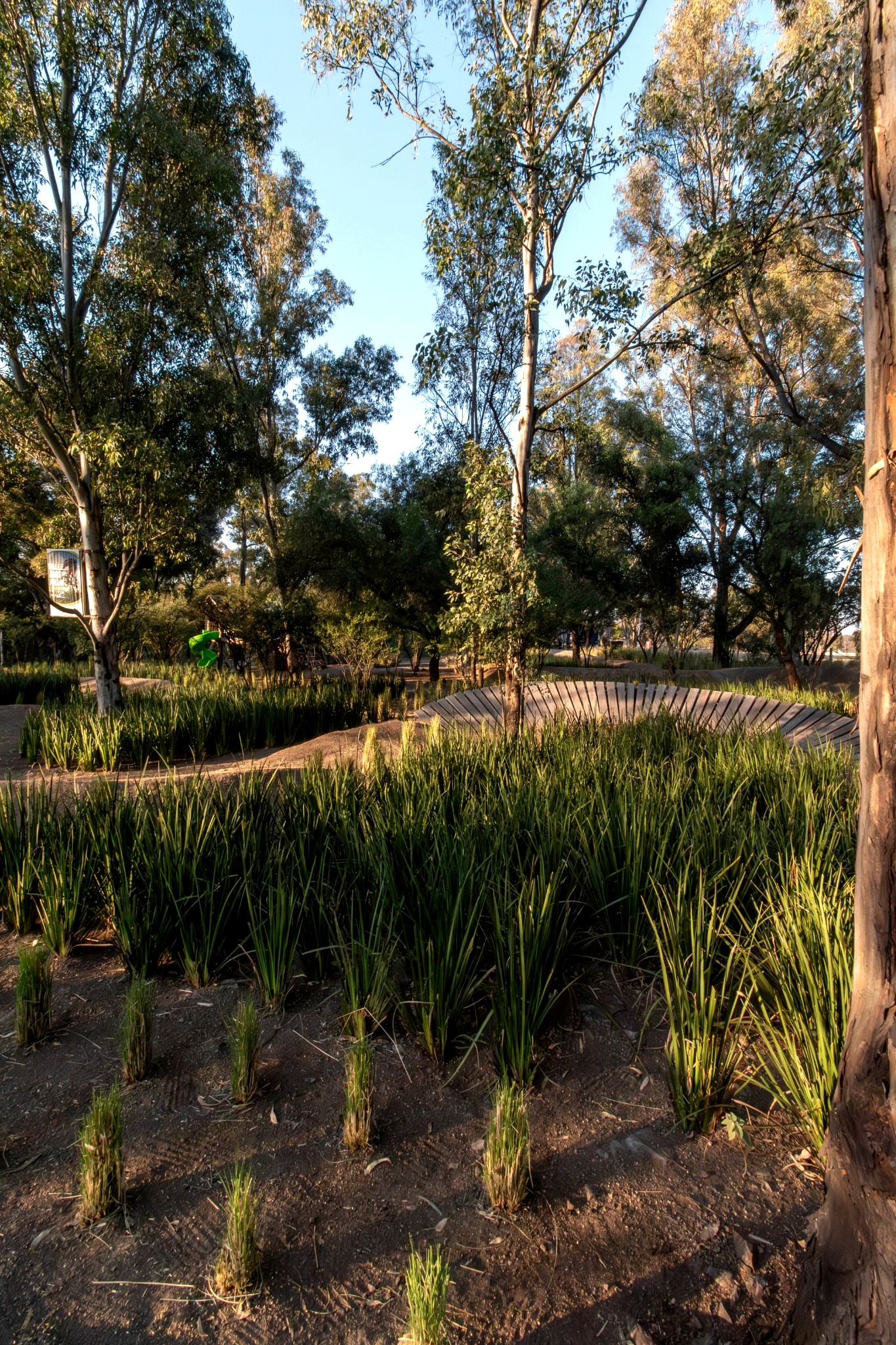 Corredor Corregidora–Huimilpan · territorio y vegetación